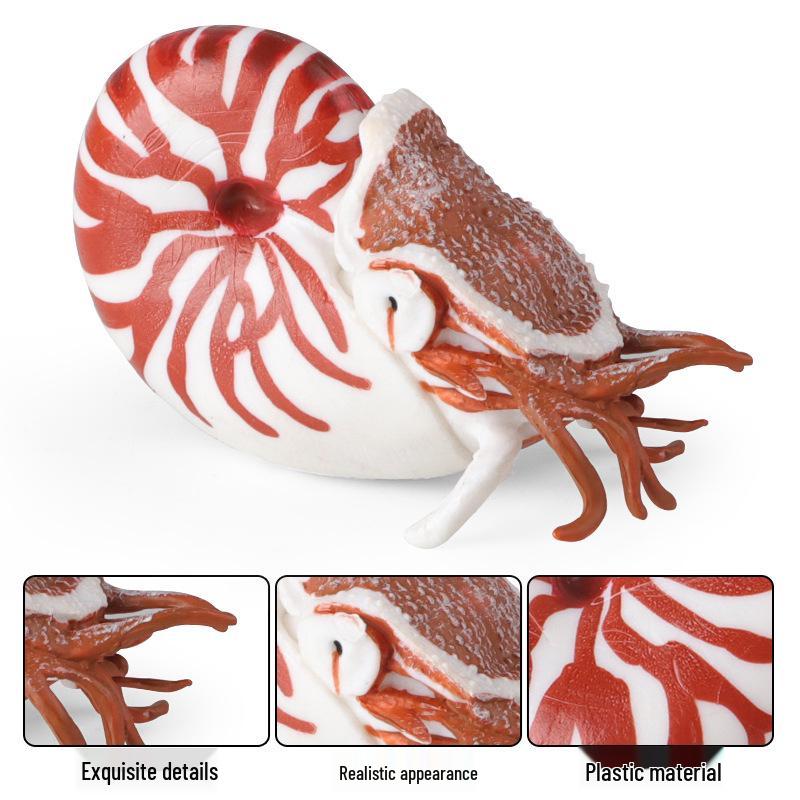 Ancient Marine Animal Ammonite Simulation Set: Educational Gifts for Kids