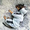 Adidog Vestiti Tuta per Cani Vestiti Caldi per Cuccioli per Animali Domestici per Cani Felpe con Cappuccio Felpa Yorkie Bulldog Francese Abbigliamento per Cani Cappotto Giacca