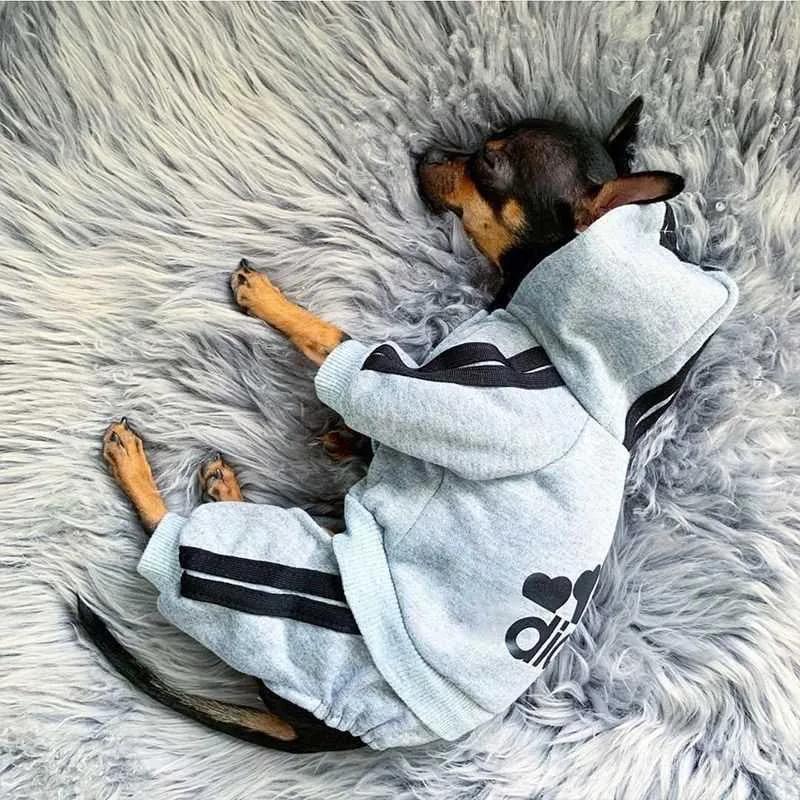 Adidog Vestiti Tuta per Cani Vestiti Caldi per Cuccioli per Animali Domestici per Cani Felpe con Cappuccio Felpa Yorkie Bulldog Francese Abbigliamento per Cani Cappotto Giacca