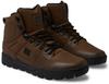 DC Shoes Pure Ht Boots (ADYB100018) Brown