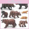 Modèle de Cycle de Croissance d'Ours Brun Statique en PVC de Haute Qualité Parfait Pour les Amoureux des Animaux les Collectionneurs l'Exposition