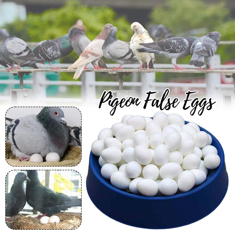 50/20/10pcs Simulated Pigeon Eggs Filled Solid Plastic Simulated Fake Eggs Racing Pigeon Hatching Supplies Bird Breeding Tools