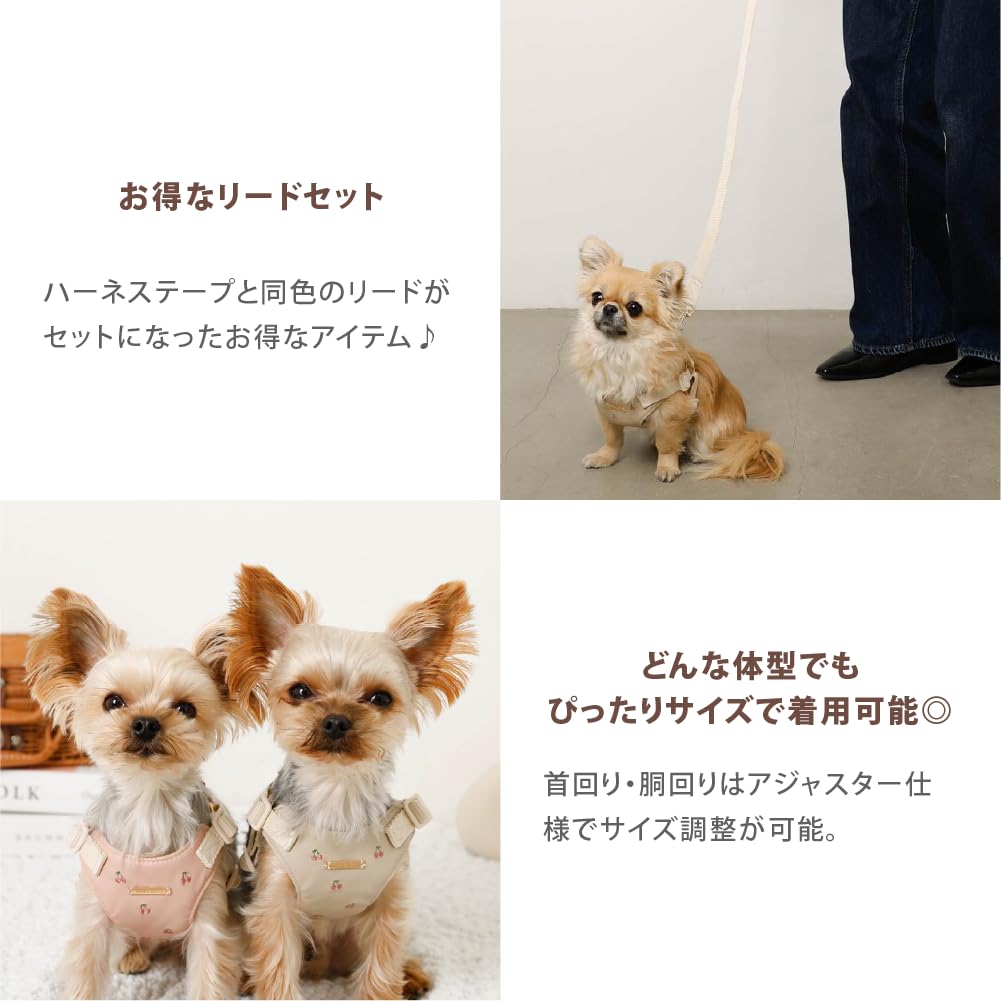 Besticktes Geschirr und Leine Hundegeschirr für kleine Hunde Verstellbar Einfach an- und auszuziehen mit einem für Spaziergänge und Ausflüge monchéri [Kirsch-Set]