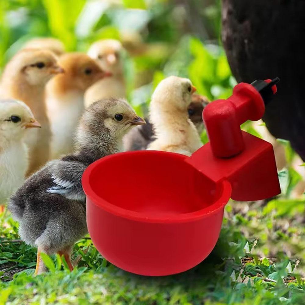 Chicken Duck Drinking Bowl Hanging Automatic Poultry Drinking Water Bowl Practical Convenient Tools for Farm Feeding