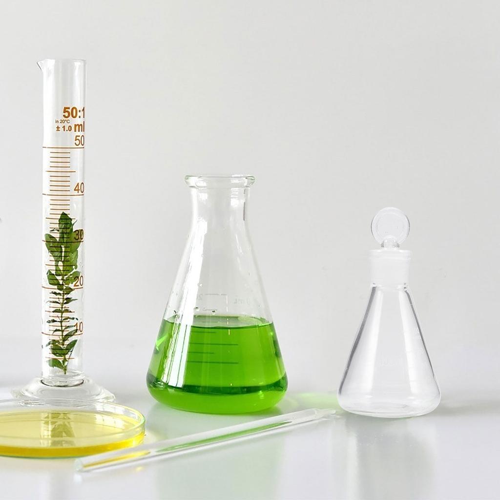 Chemistry Glassware Erlenmeyer Flask Made of Premium Borosilicate Glass Accurate Graduation Wide Mouth for Lab Experiments