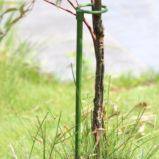 6 Pcs Plant Support Stakes Extendable Support Stakes Orchid Sticks with Ring Clips for Indoor Outdoor Plant Tomato Vegetables Monstera