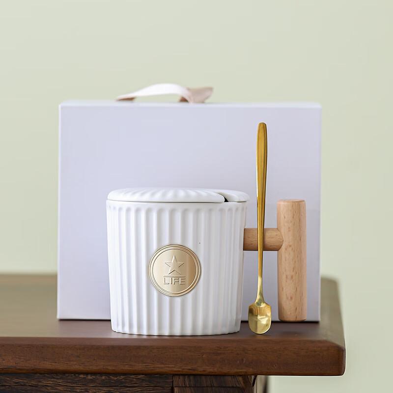 Ceramic Mug with Wooden Handle, Lid & Gold Spoon Gift Set