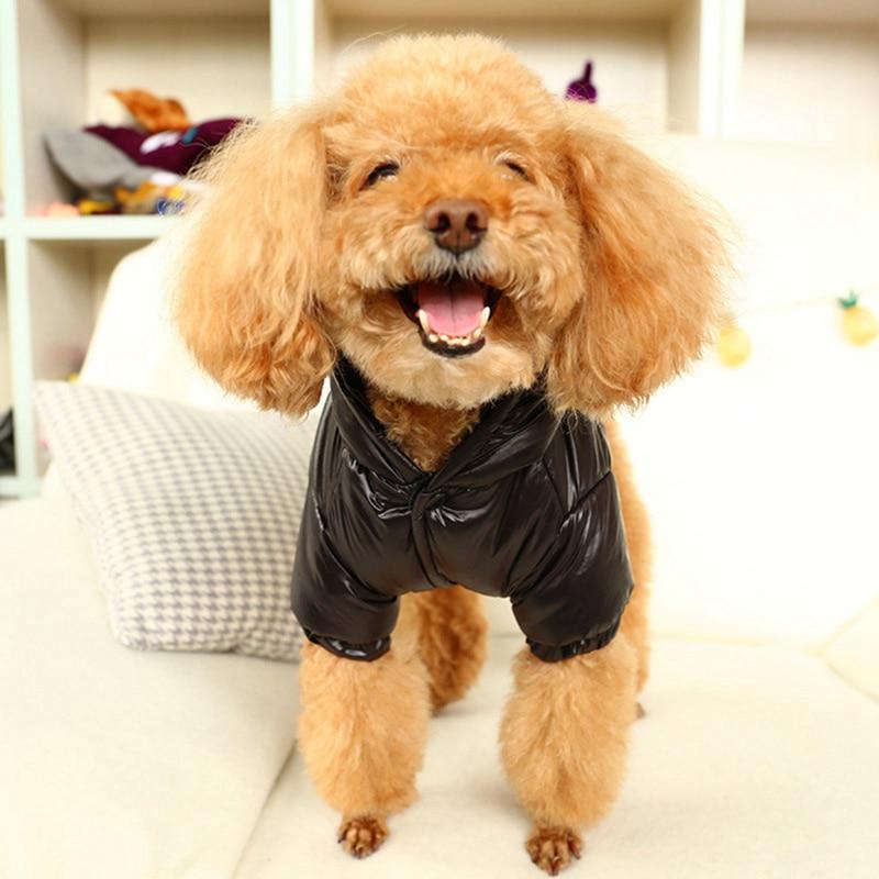 medium dog jacket