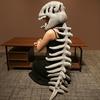 PP Cotton Dinosaur Skeleton Costume Skeleton Design 3D Dinosaur Skeleton Capes Plush Softness Easy To Clean for Halloween Themed