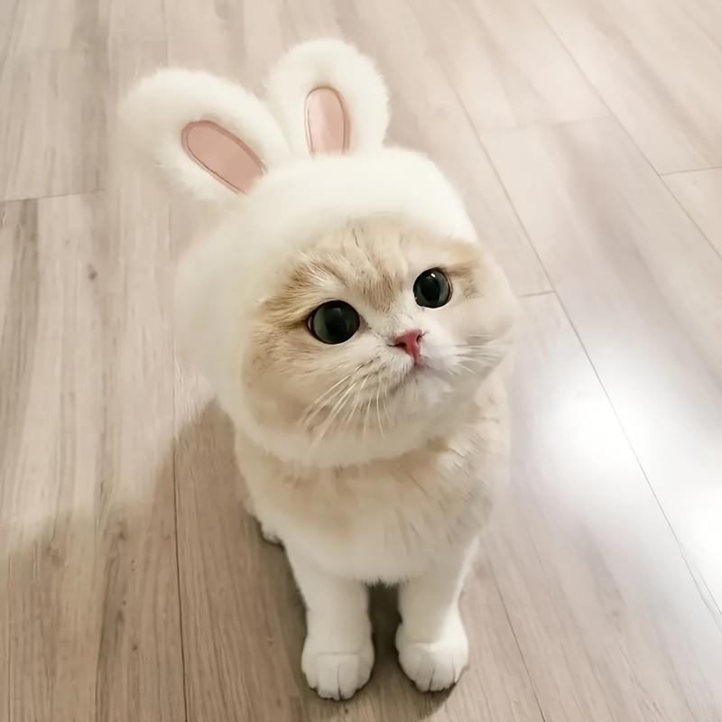

Plush Easter pet hat with tape closure, fits small/medium cats and dogs. Perfect for Easter & spring, hand wash only. One-size