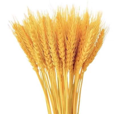 100Pcs Artificial Wheat Ear with Stem Realistic Non-withering No Watering Wedding Photo Props Indoor Outdoor Home Office Garden Adult Sex Wear