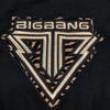 [USED] BIGBANG ALIVE TOUR2012 Official Zip-Up Hoodie, Size M