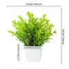 Plantas artificiais ecológicas, ornamentos para casa realistas e de baixa manutenção, ornamentos em vasos