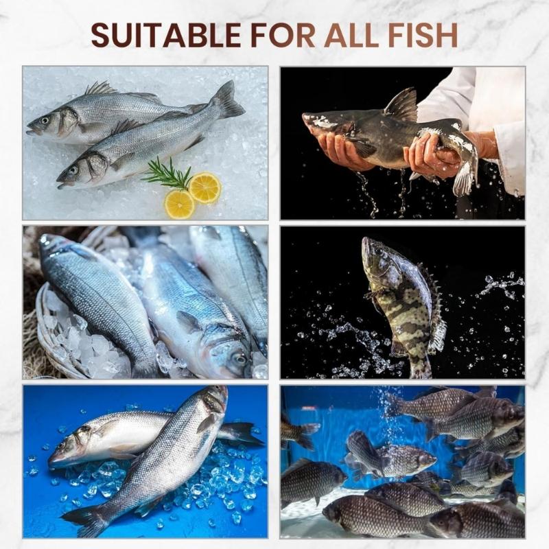 Langlebiger Rostfreier Fischschupper Küchenutensilien Mit Durchstechenden Gezackten Rändern Zum Schnellen Einfachen Fischschuppen Verschiedene Typen