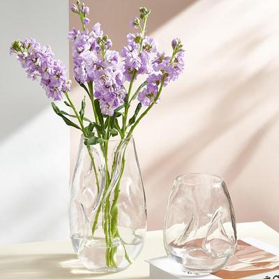 Vase en verre irrégulier de style nordique pour hydroponie de bureau