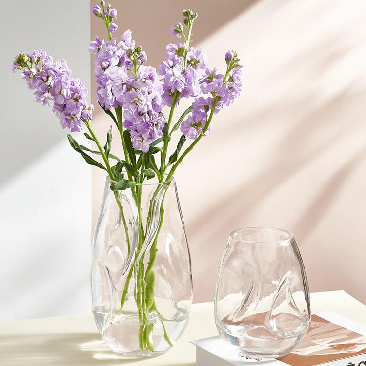 Nordic Style Irregular Glass Vase for Desktop Hydroponics