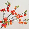 Orange Lantern Fruit Silk Cloth Sour Berry Lifelike Simulation Flower  Home Decoration