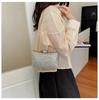 Exquisite Rhinestone Embellished Evening Handbag - Women's 2026 Summer Single Shoulder Chain Crossbody Bag