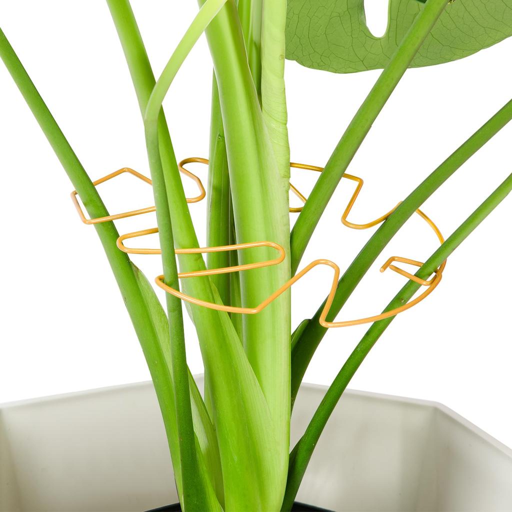 6Pcs Monstera Plant Support Plant Stem Support Monstera Stabilizer Grapple Holder Stem Support Ring Plant Accessories