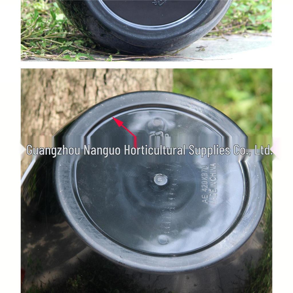 Egg-Shaped Resin Flower Pot - Large White/Black for Indoor Plants