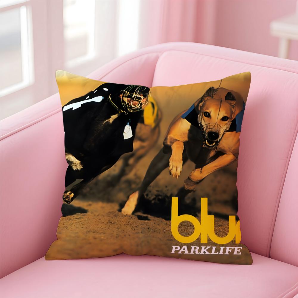 Blur Band Sänger Cool Kissenbezug Bequem Wendbarer Kissenbezug Ideal für Auto Sofa Schlafzimmer & Mehr