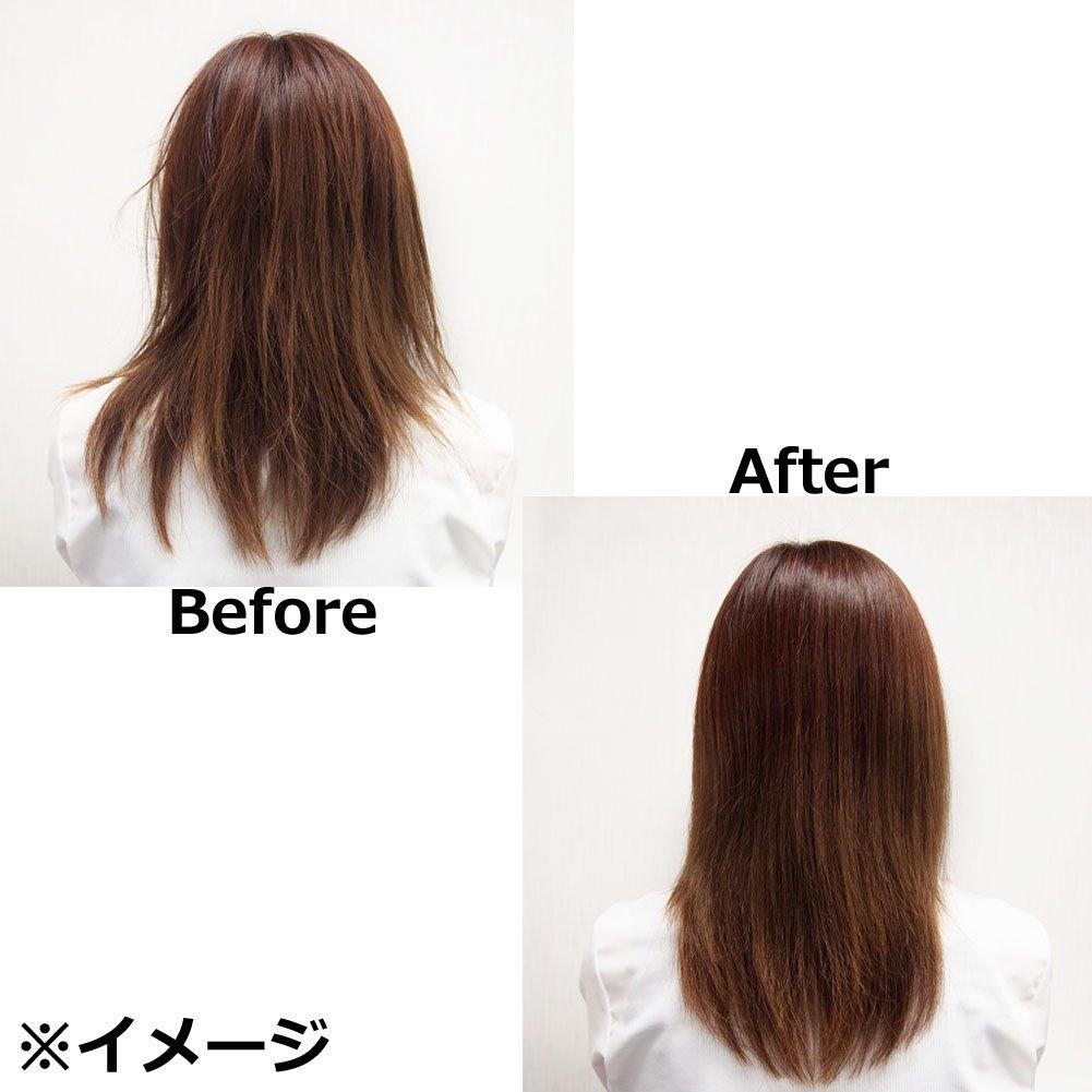 Art Brush Boar Bristle Hair Brush "Kamiwaza"