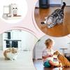 2in1 Auto Cat Dog Feeder Large Capacity Dry Wet Food Dispenser Automatic Water Fountain Leakproof Bowl Pet Food Storage Pet Acce