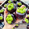 Crunchy Mangosteen Squishy Toy Building Block Filled Moldable Stress Ball Round Blocks Squeeze Fidget Toy Stress Relief Toy for Office Home Travel