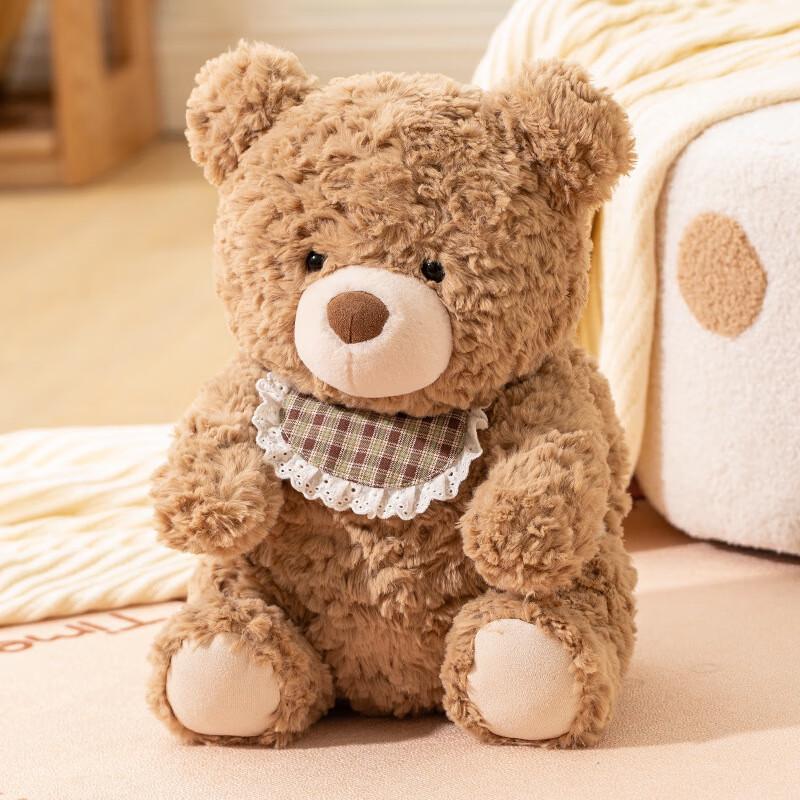 Cartoon Bear Removable Electric Hot Water Bottle