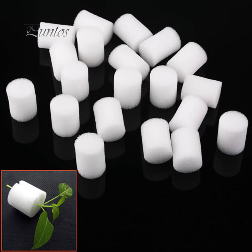 20Pcs White Clone Cloning Collar Foam Insert Hydroponic Root Guard Mesh Pot 25mm