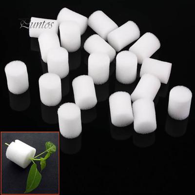 20 stuks witte kloon kloonkraag schuiminzet hydrocultuur wortelbeschermer mesh pot 25 mm