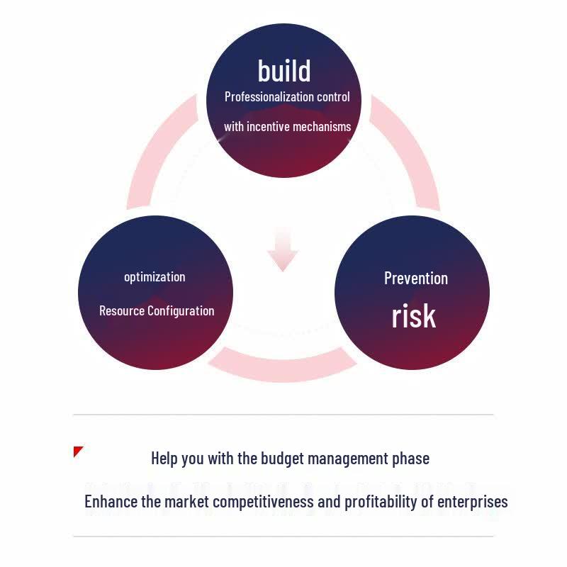 Comprehensive Budget Management and Annual Business Plan Book