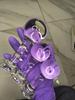VaHpp Glas Analplug Runde Kugel Mit Griff Durchmesser 4,5/5,5/6cm Sexspielzeug Anale Masturbation Dehnungstraining Transparent Glatt