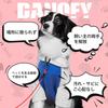 DANOFY Dog Wire Tether Lead Cable Dog Tether Cable 5mm Carabiner with Lock Runner Cable Training Lead for Outdoor Garden Camping Suitable for Medium