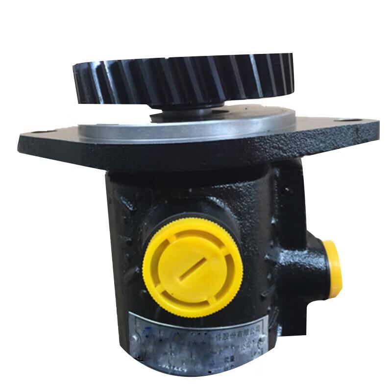 Chunsen Steering Assist Vane Pump for Dongfeng Mengshi EQ2050B Standard