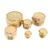 Pneumatic Exhaust Muffler Silencer M5 1/8 1/4 3/8 1/2 3/4 BSP Male Thread For Air Noise Brass Adjustable Long Short BSL SLM SLL
