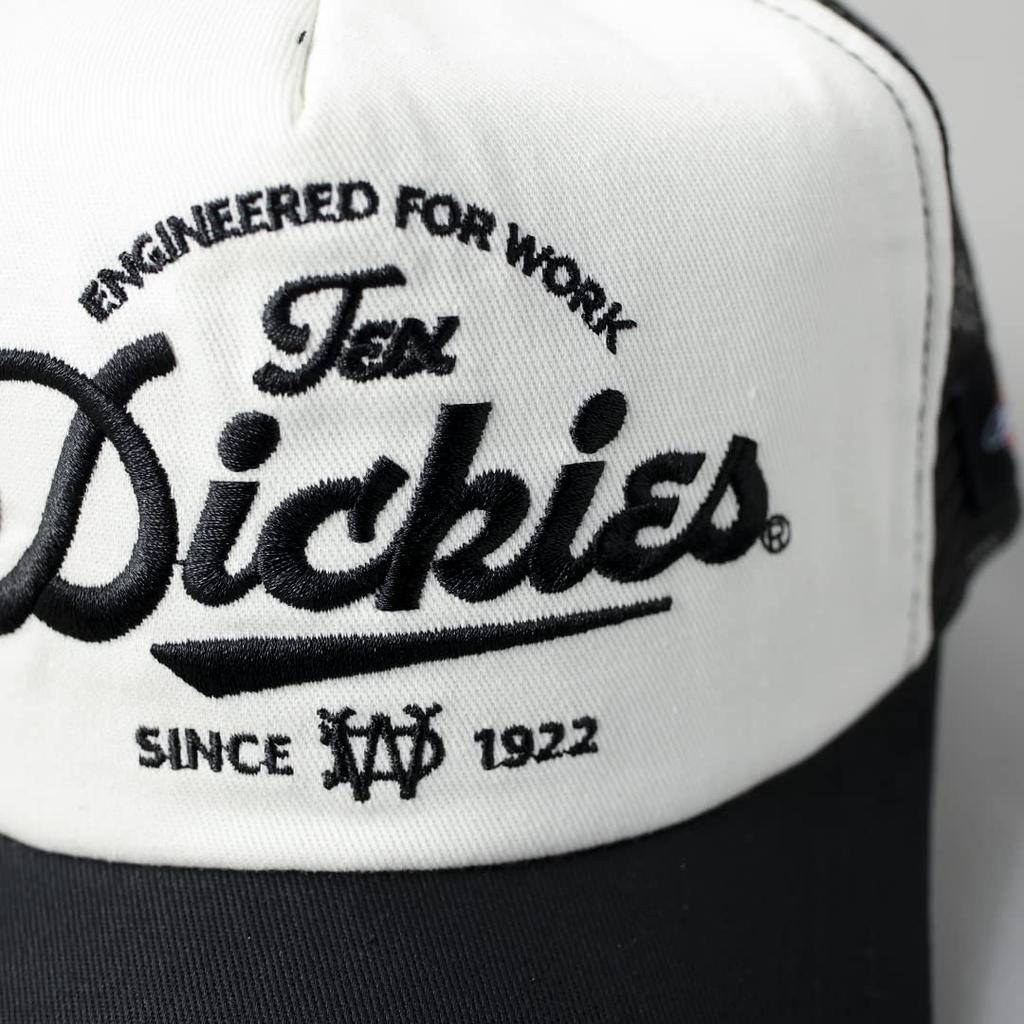 Dickies Mesh Cap with Original American Street Style DK Classic Logo, Unisex, Black, Casual, (Free Size, White)