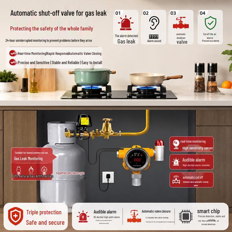 MDNG Baorui Combustible Gas Alarm with Auto Shut-off CN plug (adapter included)