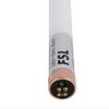 FSL LED T5 Double-Ended Tube Light