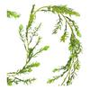 Artificial Plant Garland GREEN BUDS 170