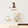 30-Day Baby Celebration Photo Props & Background Wall Set