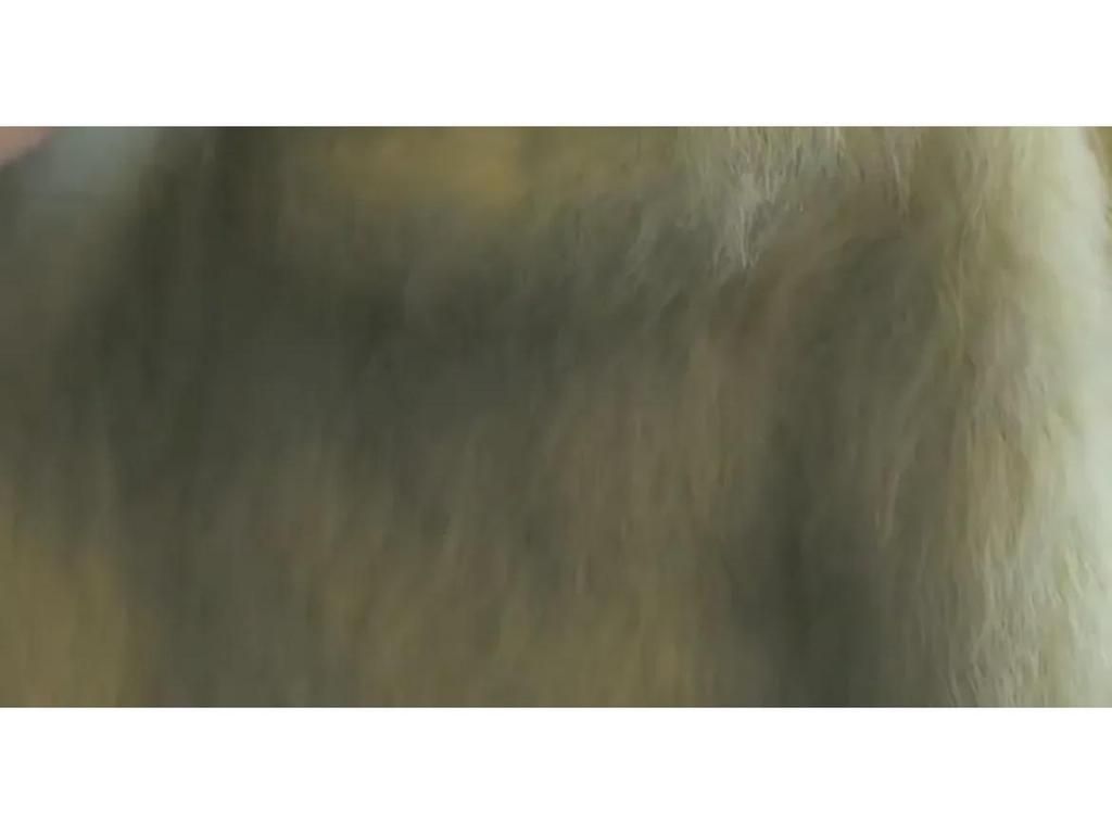 Elegant Green Mohair Sweater for Women - Winter Thickened, Luxurious Feel, Beautiful Mink Wool Pullover