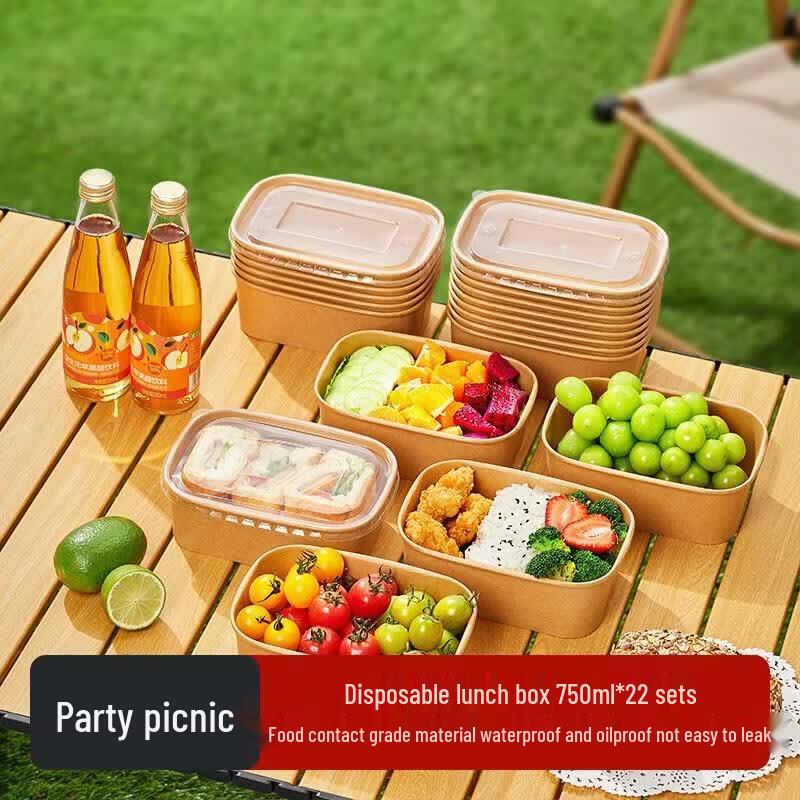 HANDUNYOU Disposable Food-Grade Plastic Square Meal Box with Lid