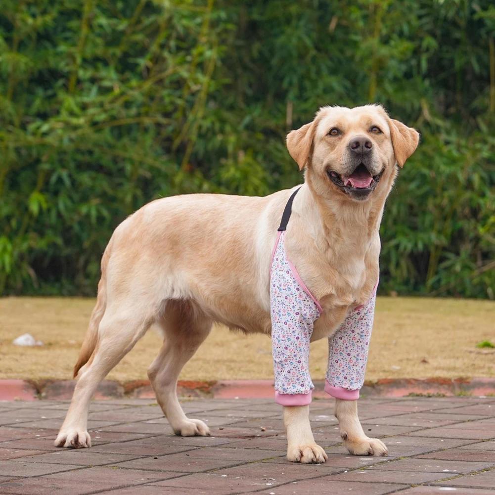 Pet Knee Pads for Joint Injury Recovery Legs Protector Dog Thigh Brace Wrap Adjustable Support Belt Post-operative Fixation