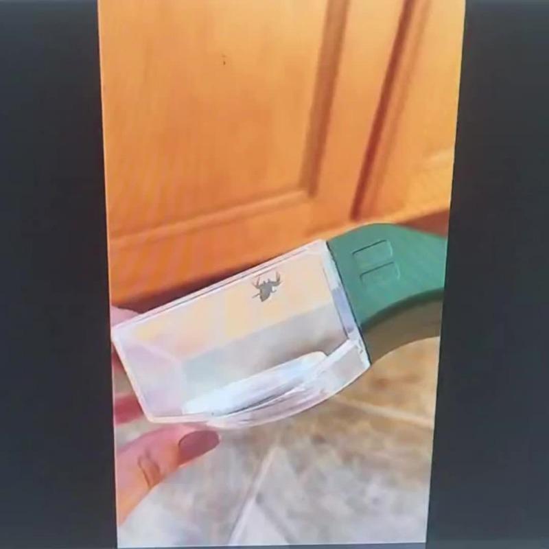 A handheld insect spotter with a transparent window for outdoor exploration. Gardening and nature research are ideal for backyard adventures