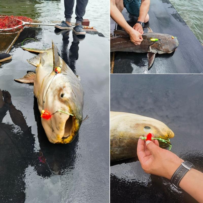5Pcs Catfishing Rig Catfishing Float Rigs Rattle FloaterTackle for Catfishing Fishing 6/0 8/0 10/0 Circle Hook