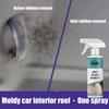 Rayhong Car Mold Remover Foam Cleaner For Upholstery Leather Seats And Interiors