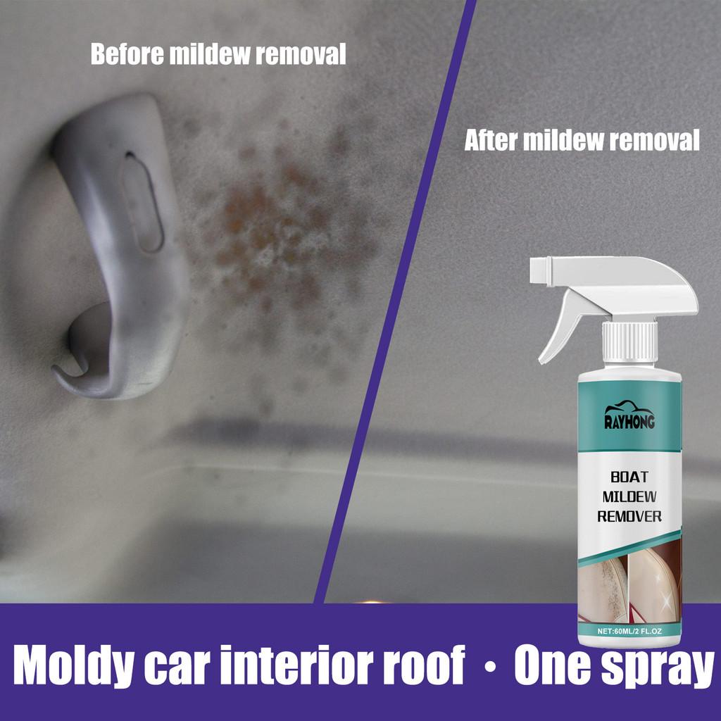 Rayhong Car Mold Remover Foam Cleaner For Upholstery Leather Seats And Interiors