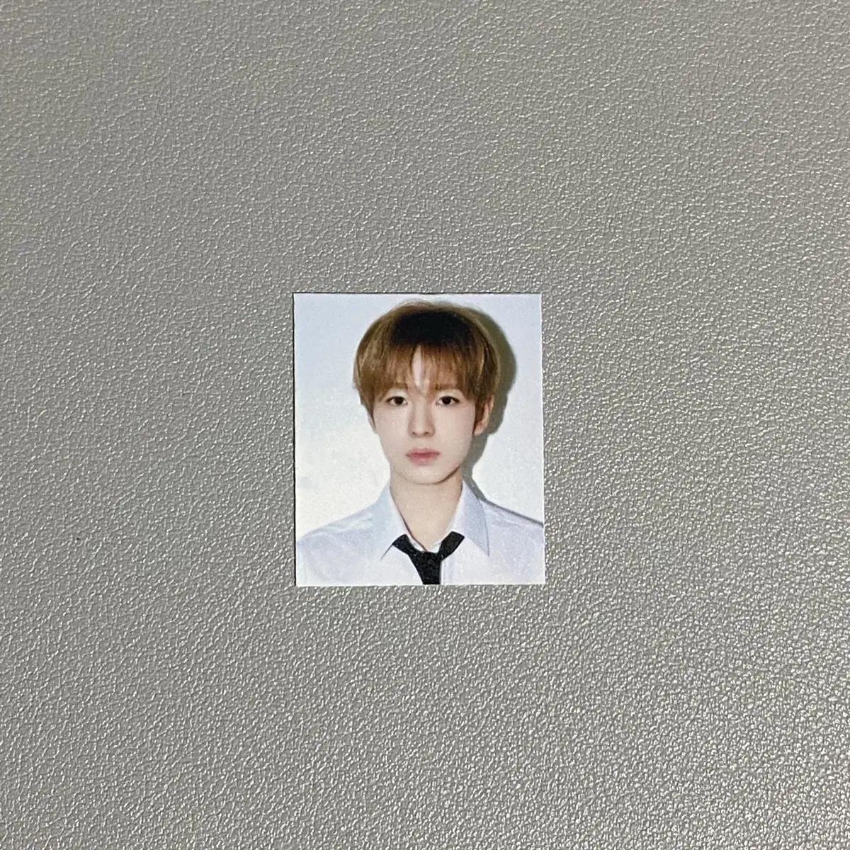 

1 Nct Wish School Of Wish Yuushi Certificate