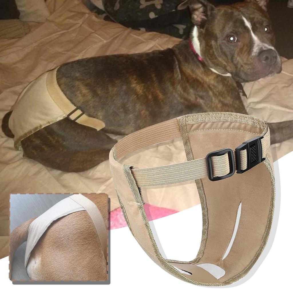 Pet Safety Pants With 3 Cotton Pads Physiological Pants Hygiene Pants Size S-Xxl